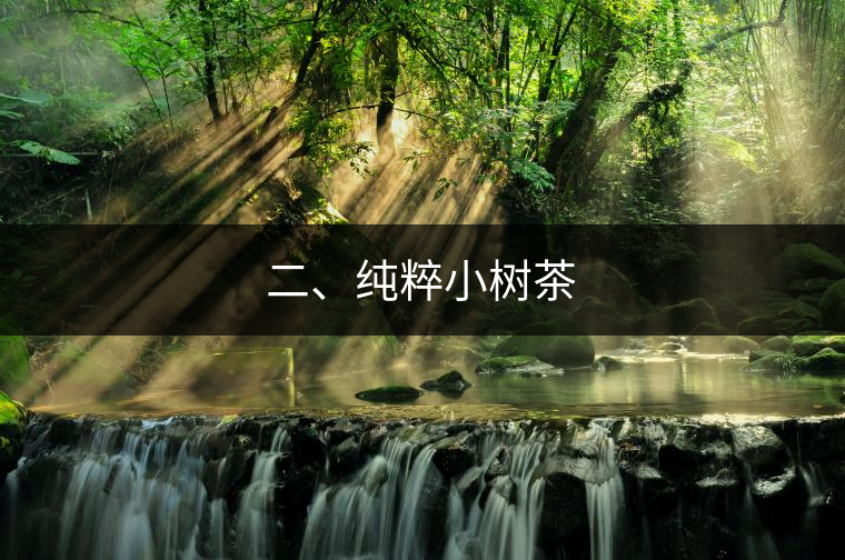 二、純粹小樹茶
