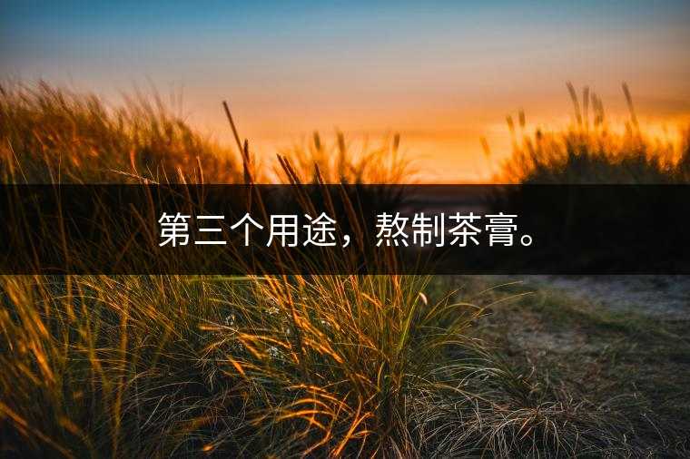 第三個用途，熬制茶膏。
