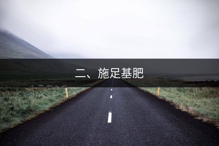 二、施足基肥