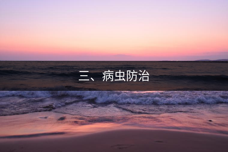 三、病蟲(chóng)防治