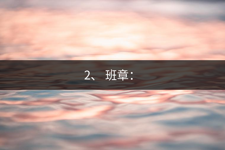 2、 班章：?