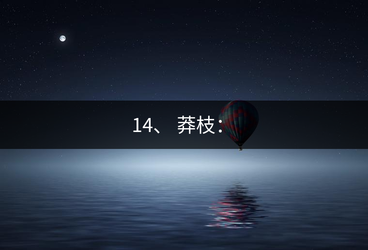 14、 莽枝：?