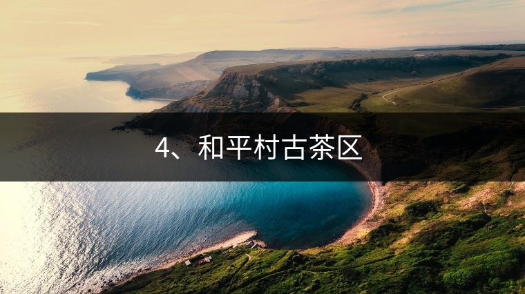 4、和平村古茶區(qū) ?