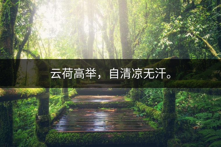 云荷高舉，自清涼無汗。