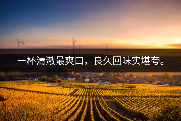 若能一日車船至，從此美名滿天涯。