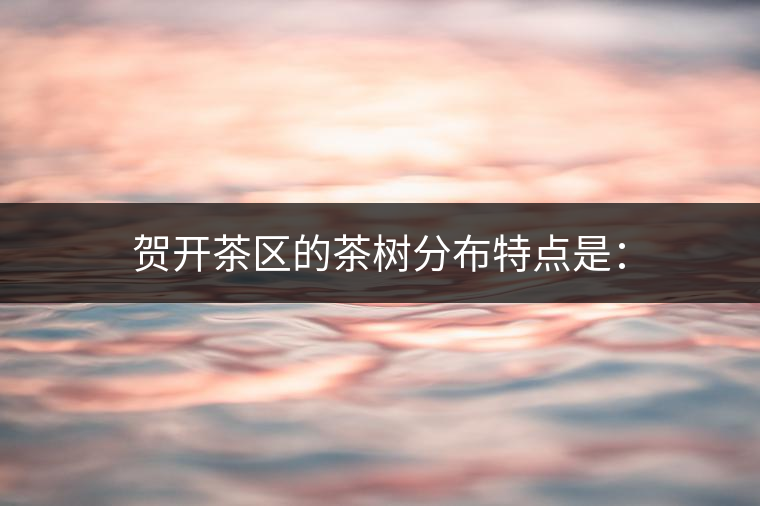 賀開(kāi)茶區(qū)的茶樹(shù)分布特點(diǎn)是：