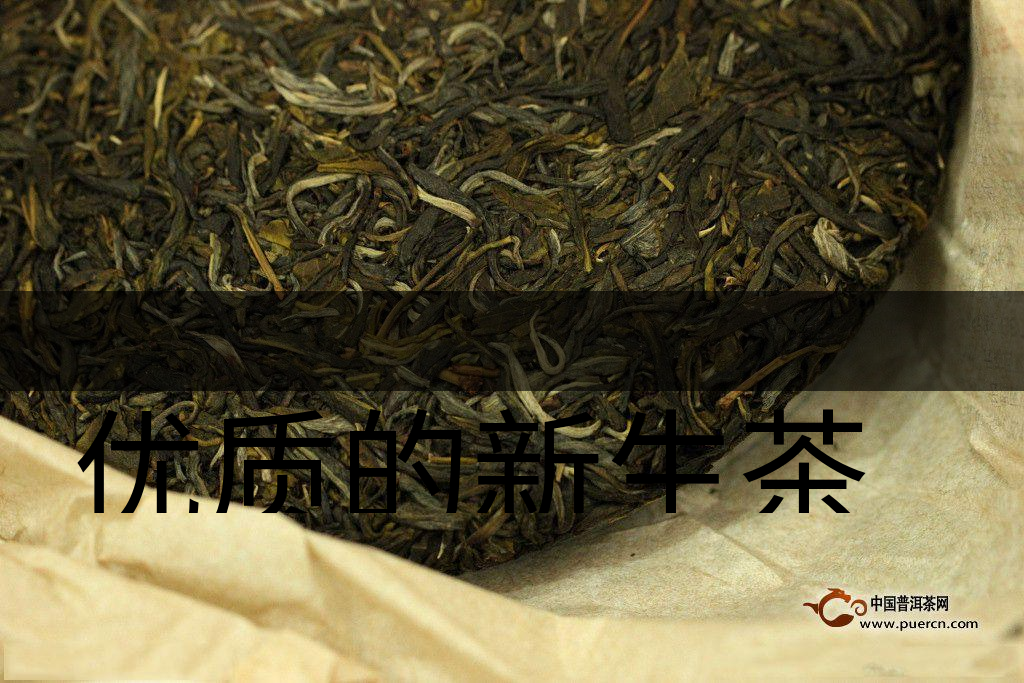 優(yōu)質(zhì)的新生茶是什么樣的？