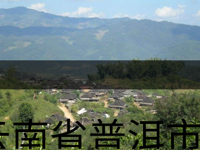 云南省普洱市茶業(yè)概況簡(jiǎn)述(二) 云南省普洱市茶業(yè)概況簡(jiǎn)述(二)