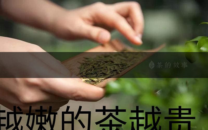 越嫩的茶越貴，但越貴的茶就越好嗎？