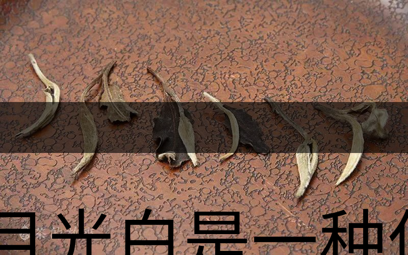 月光白是一種什么茶？-1