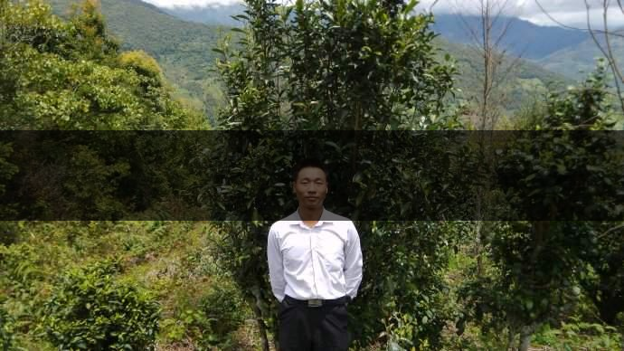 云南省景東縣茶業(yè)概況簡(jiǎn)述(第五章) 云南省景東縣茶業(yè)概況簡(jiǎn)述(第五章)