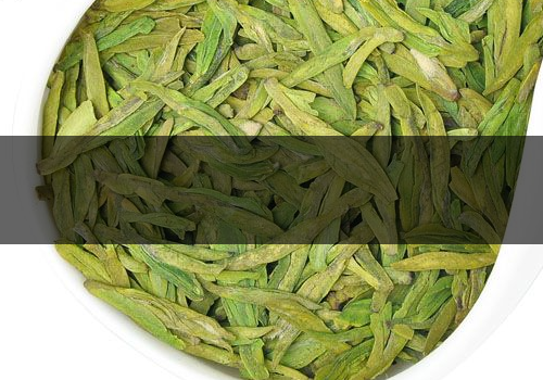 龍井茶什么時候上市-怎么采摘好