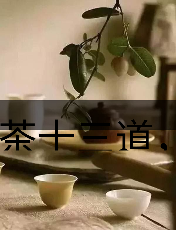 喝茶十三道，道道皆精華！-2