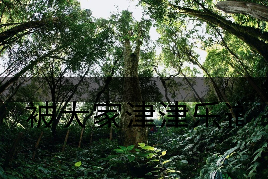 被大家津津樂道的森林茶，你知道是什么？-6-1