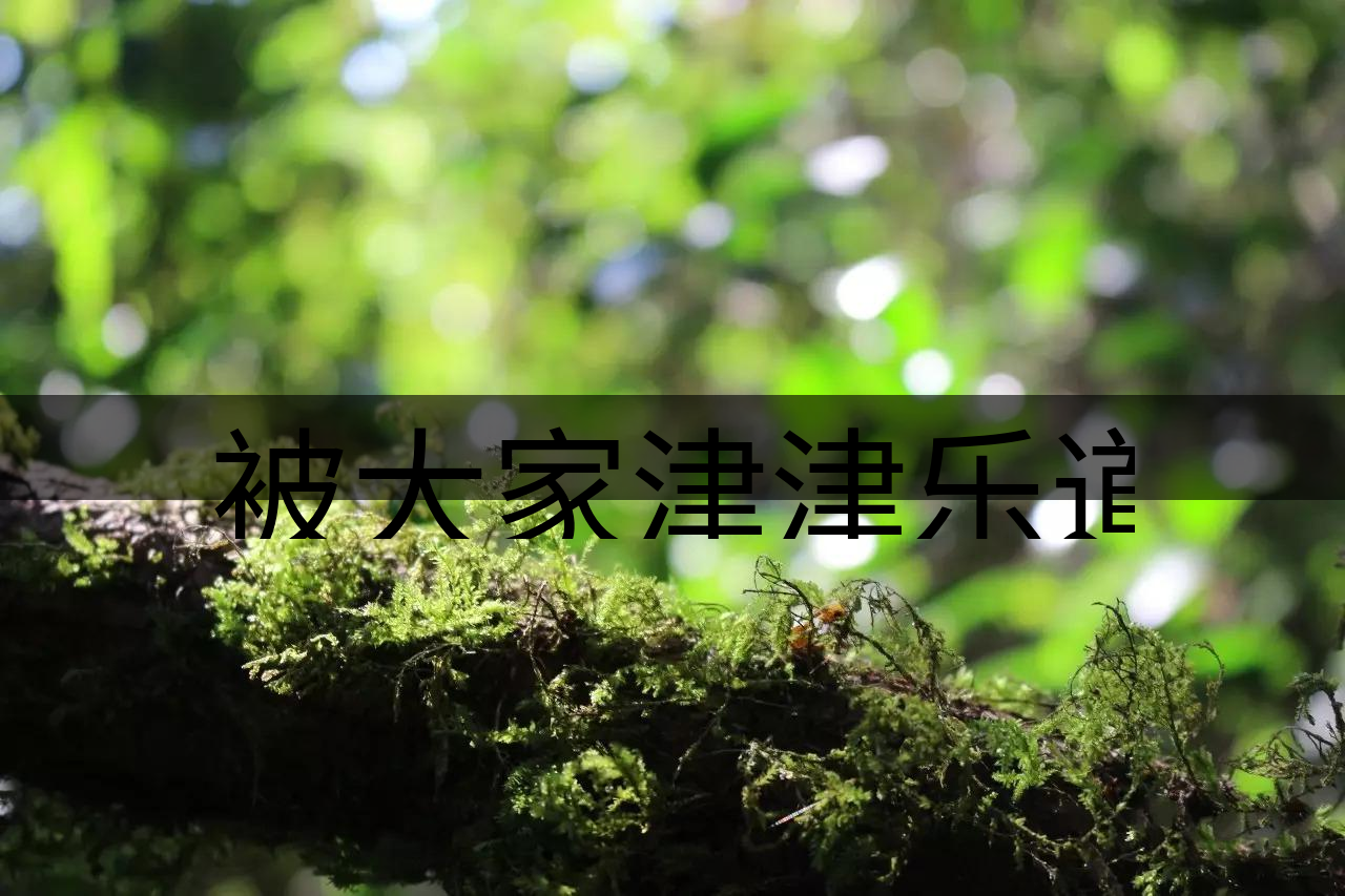 被大家津津樂道的森林茶，你知道是什么？-8-1