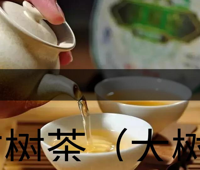 古樹茶(大樹茶)葉底特征辨別-1-1 古樹茶(大樹茶)葉底特征辨別-1-1