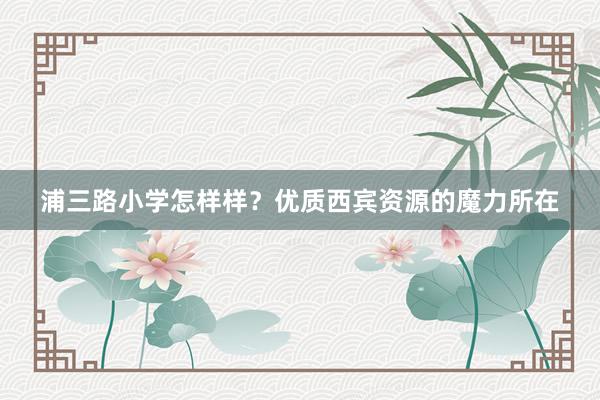浦三路小学怎样样？优质西宾资源的魔力所在
