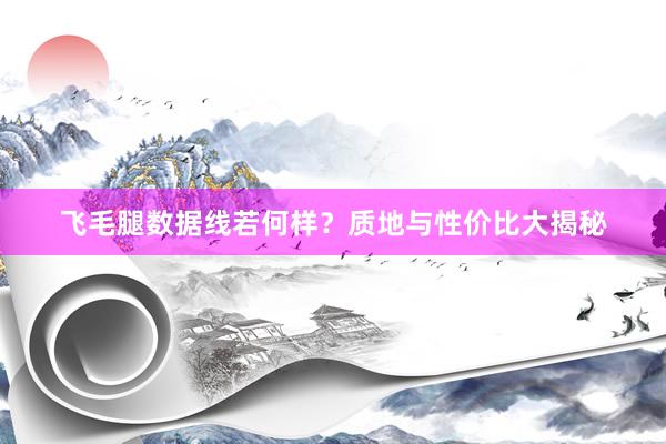 飞毛腿数据线若何样？质地与性价比大揭秘