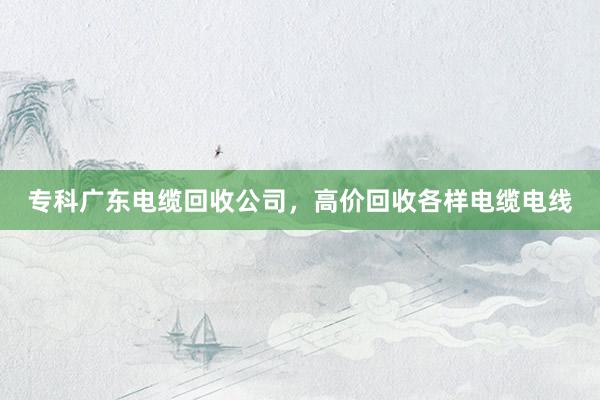 专科广东电缆回收公司，高价回收各样电缆电线