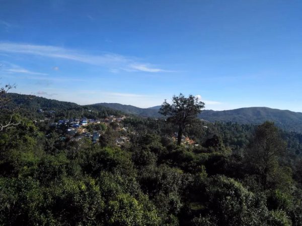 蘭香賀開，甘甜賀開