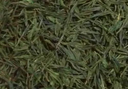 什么是海青茶？沖泡手法詳細(xì)教學(xué)！