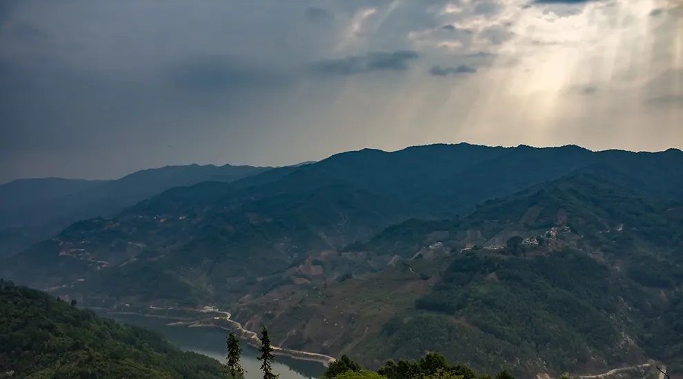 2021年磨烈：風(fēng)頭正勁的后起之秀，到底有何特點(diǎn)？