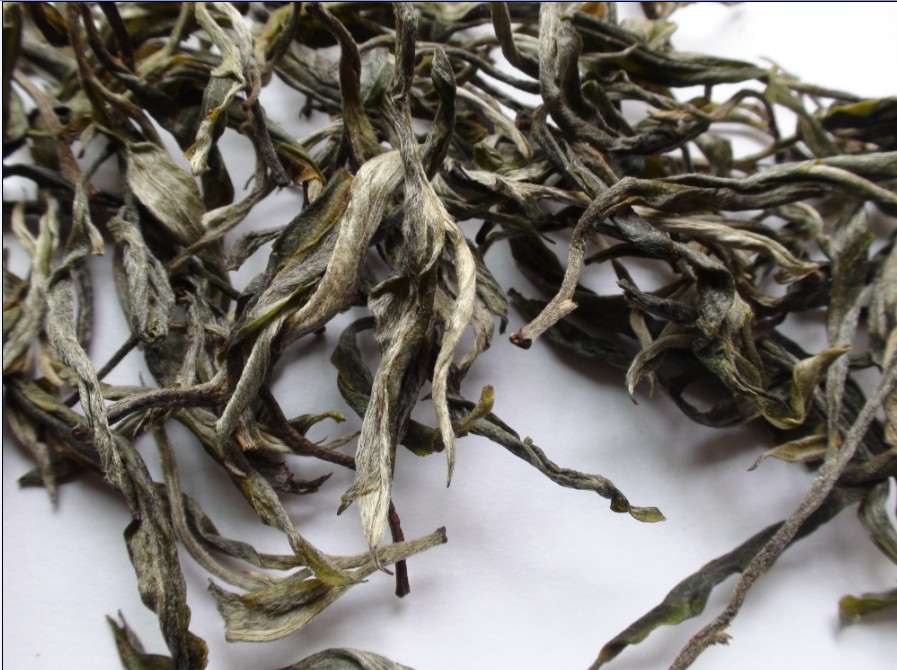 2021年馬鞍山古樹(shù)秋茶價(jià)格？