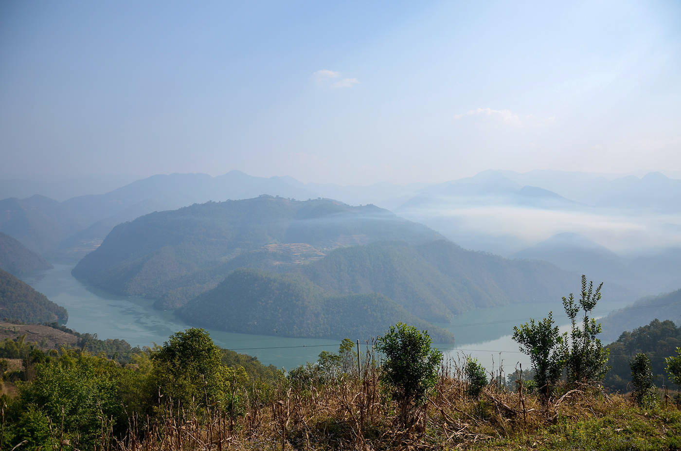2021年白鶯山古樹秋茶，佛茶有什么魅力？
