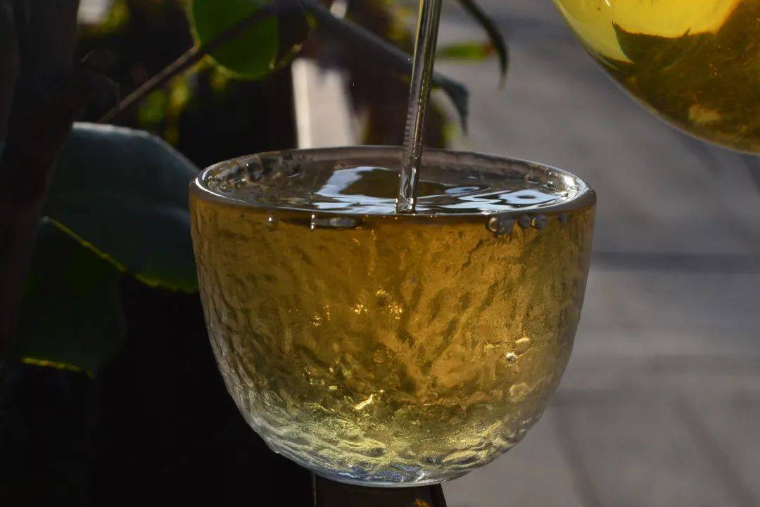 2021班章茶區(qū)壩卡竜古樹秋茶口感是什么？