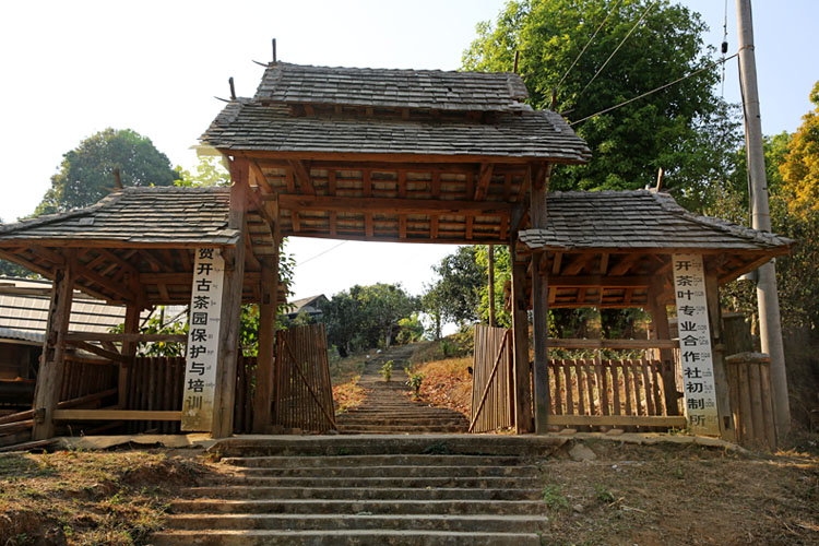 2021年賀開古樹秋茶特點？