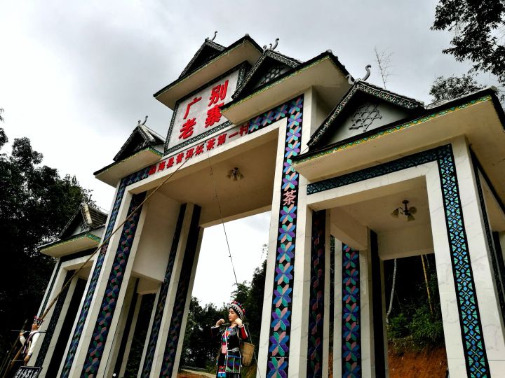 2021年廣別老寨古樹秋茶特點?