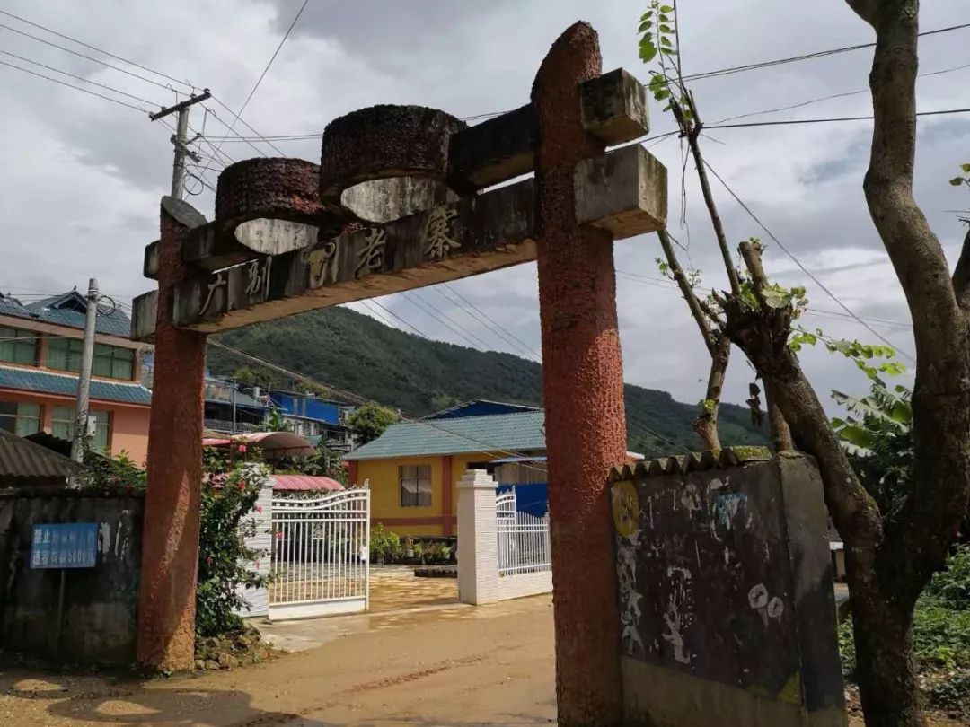 2021年廣別老寨古樹秋茶多少錢一公斤？