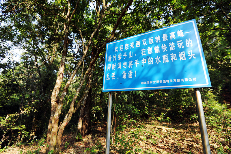 2021年滑竹梁子古樹(shù)秋茶價(jià)格？