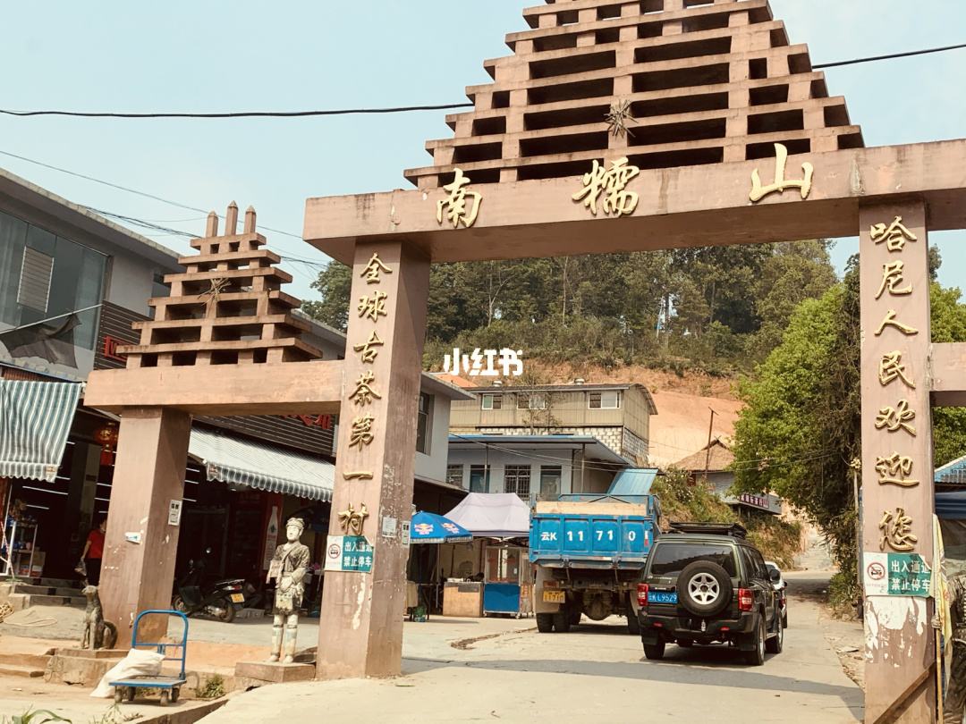 2021年南糯山半坡老寨古樹秋茶多少錢一公斤？