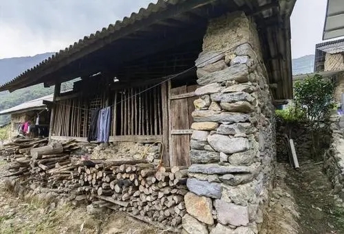 2022年景谷黃草壩古樹春茶特點是什么？