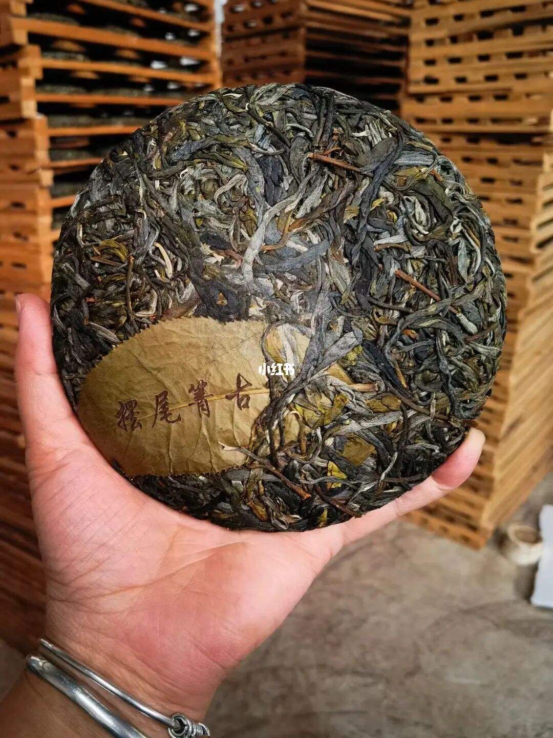 2022年寧洱 擺尾箐古樹春茶價(jià)格？