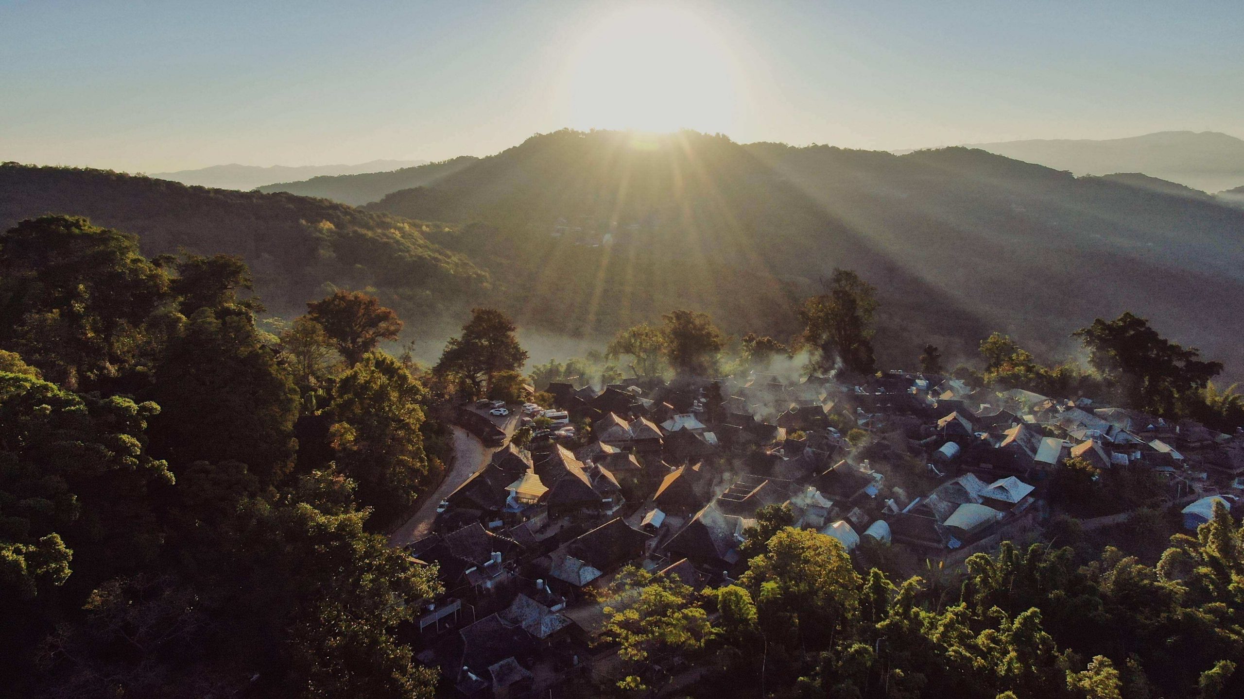2022年景邁山古樹(shù)春茶特點(diǎn)？