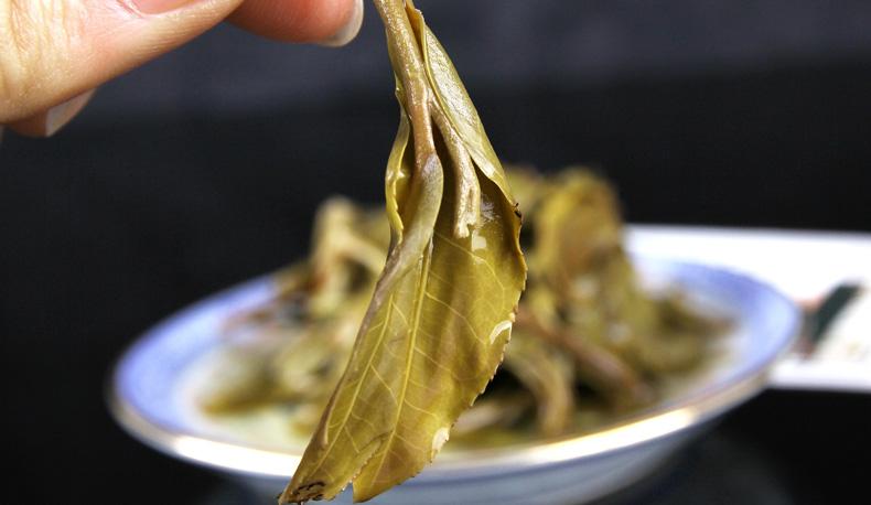 2022年冷水河古樹春茶價格？