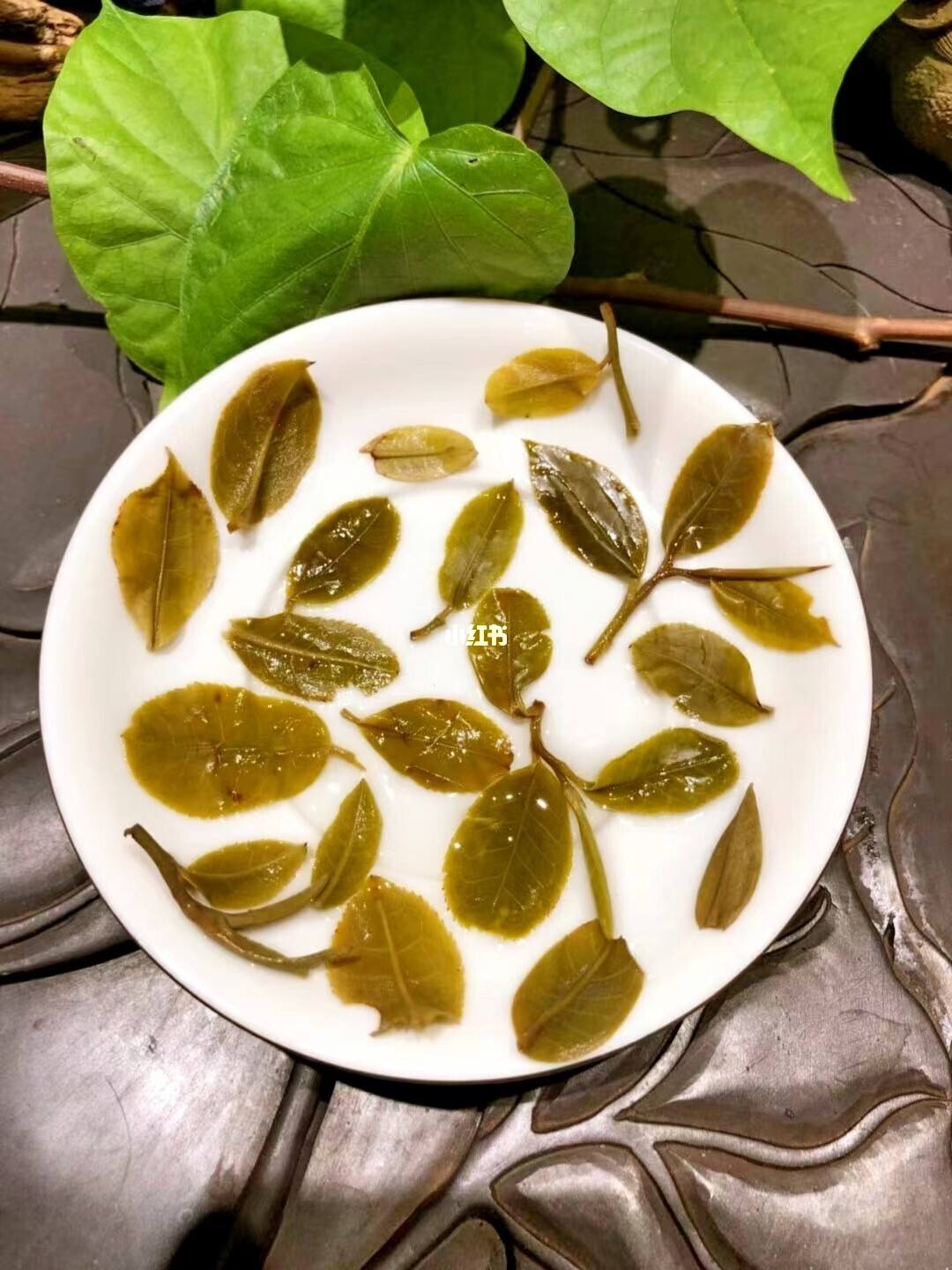 2022年倚邦貓耳朵古樹(shù)春茶多少錢(qián)一公斤？