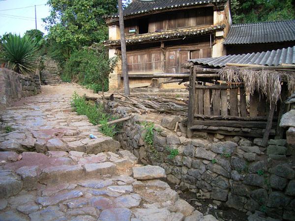 2022年蠻磚古樹(shù)春茶特點(diǎn)？