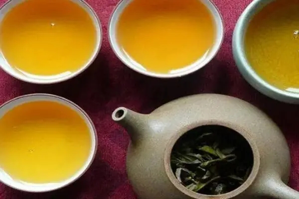 2022年普洱茶怎么泡法才正確？