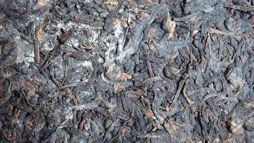 普洱茶怎么樣才算發(fā)霉？