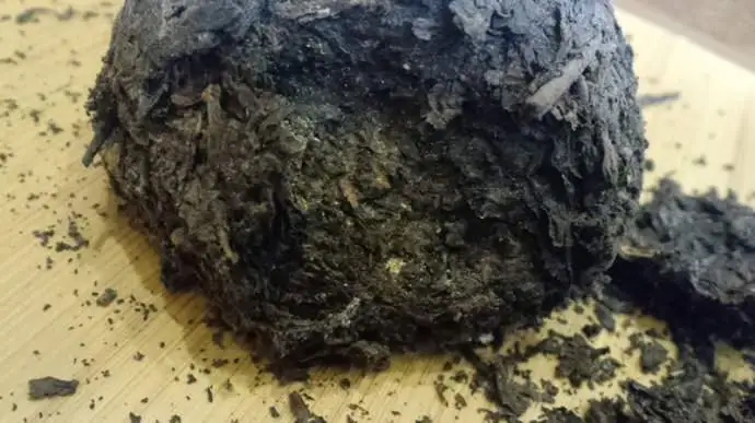 普洱茶蟲子怎么辦？