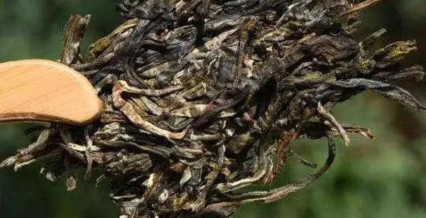 不同普洱茶生產(chǎn)地味道有哪些不同，不同派別的普洱茶味道又如何?