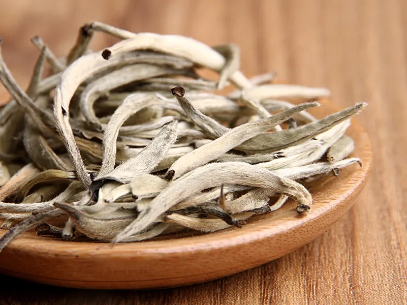 福鼎白茶、安吉白茶、云南月光白“三白”的區(qū)別