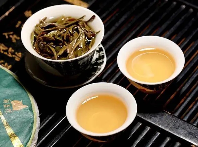 茶會(huì)“說話”，讀懂云南古樹普洱茶的秘訣