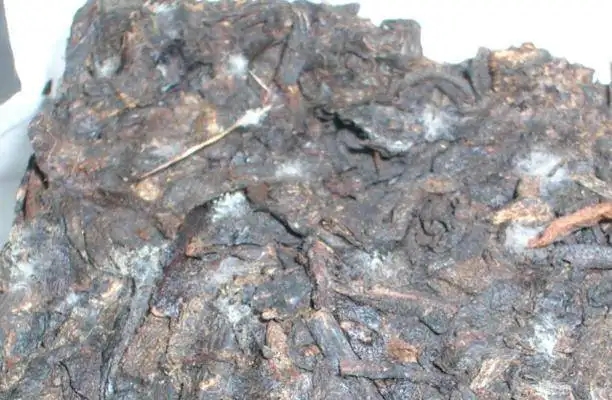 ?普洱茶發(fā)霉了怎么辦？教你妙招應(yīng)對(duì)發(fā)霉的普洱茶！