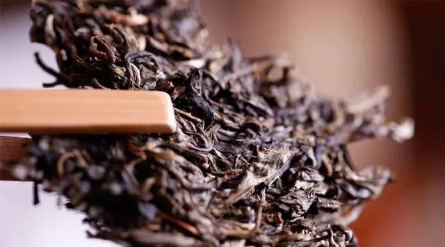 普洱生茶好還是普洱熟茶好喝？如何挑選適合自己的普洱茶？