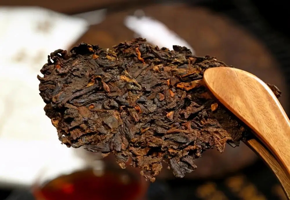 普洱茶生津、回甘、滋味、口感是怎么回事？丨實(shí)用