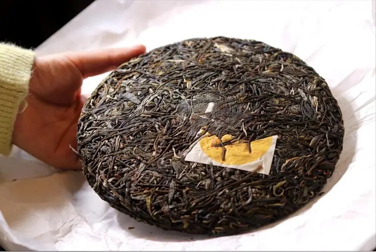 犀牛塘 | 古韻留香，帕沙之王